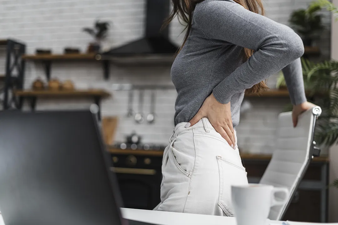 Kinesiology of the Pelvis and Hip: Structure, Function, and Clinical Considerations