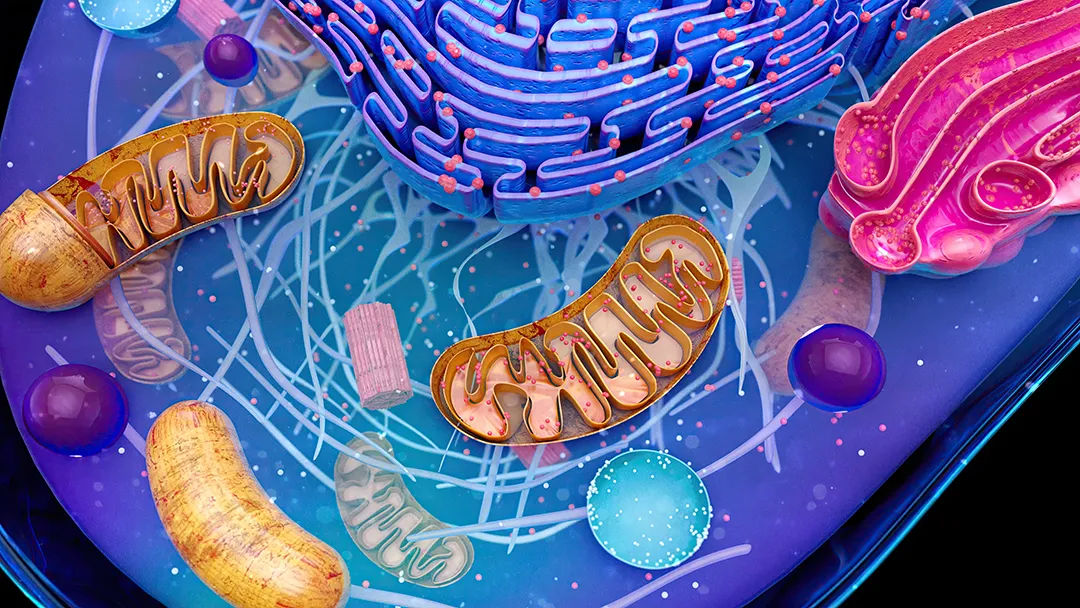 Principles of Cellular Physiology
